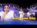 Download Lagu Tasya Rosmala - SEKALI SEUMUR HIDUP   //   Kau hadir bagai dalam mimpi