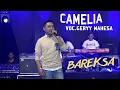 Download Lagu CAMELIA GERRY MAHESA