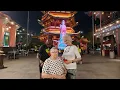 Download Lagu Tamu Inggris Go To PIK 2 印尼华侨文化中心GALERI BUDAYATIONGHOA INDONESIA Jakarta