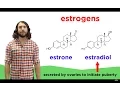 Lipids Part 2 Steroids
