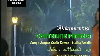 Download Chaterine Pamella - Jangan Bersedih Kawan (OFFICHIAL_VIDEO) MP3