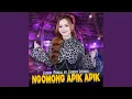 Ngomong Apik Apik (feat. Ageng Music)