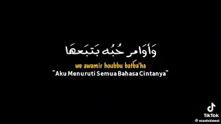 اغنيه شيرين الرايه البيضاء برفعها 