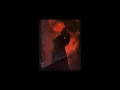 Download Lagu ladyfingers but you are dancing with your lover on the fringe of sunset, falling in love once more