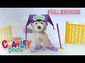 Download Lagu Little Charley Bear | DOWNHILL RIVET | Full Episode