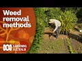Remove weeds using these effective methods Gardening 101 Gardening Australia