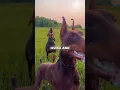 Top 5 Dogs You Donโt Want To Mess With!