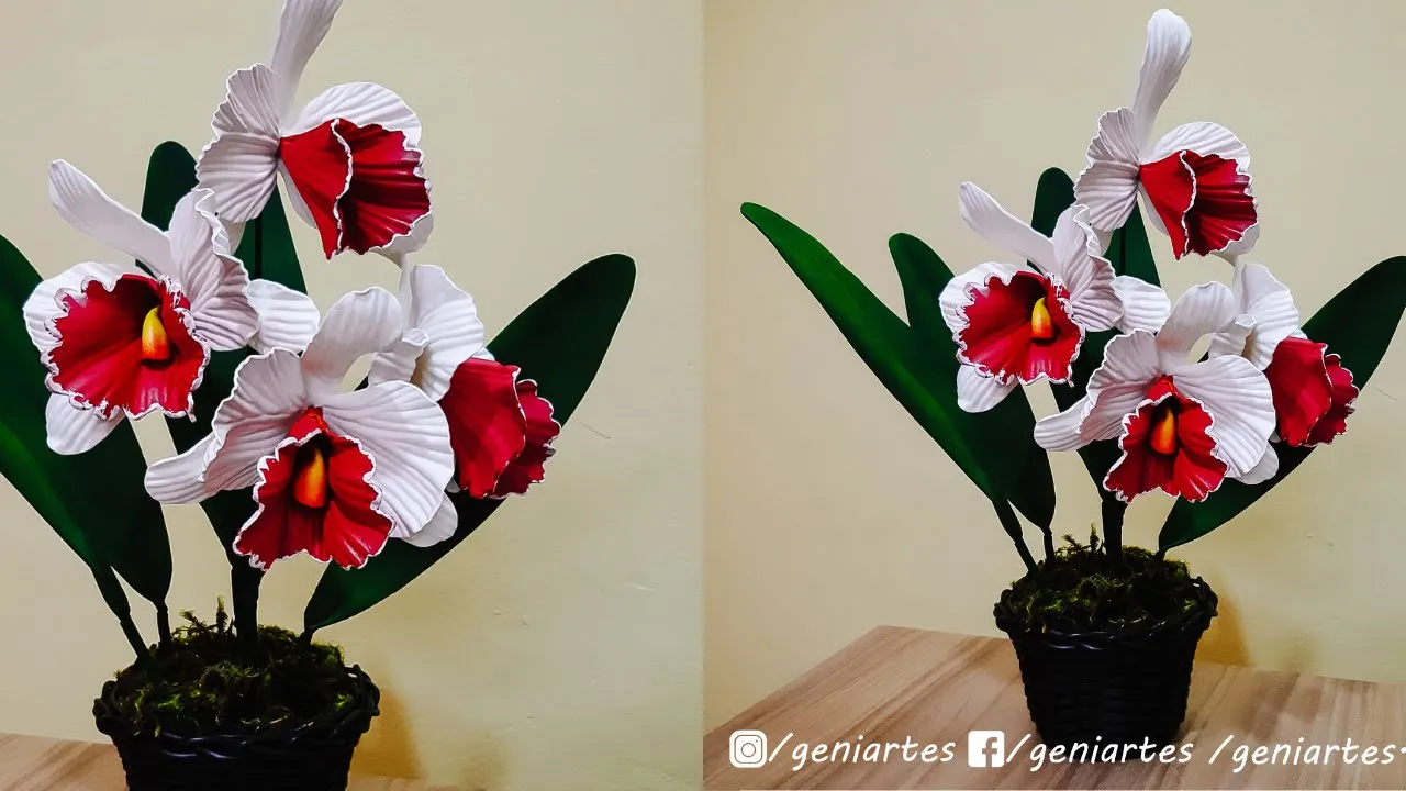 DIY ORQUÍDEA CATTLEYA PORTUGUESA EM E.V.A