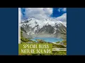 Download Lagu Serenity of Soul: Autumn Wind