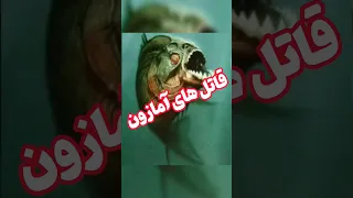 حیوانات پیرانا های گوشتخوار دانستنی و فکت Shortvideo 