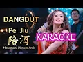 Download Lagu KARAOKE DANGDUT !! PEI JIU 陪酒 Helen Huang LIVE - Lagu Mandarin Lirik Terjemahan