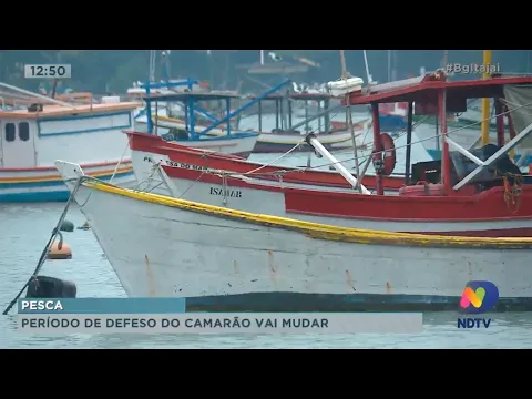 Embarcações habilitadas para pesca da tainha, pescadores artesanais ganham seguro-defeso