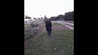 مقتطفات من قصيدة للنابغة الذبياني معتذرا من أبي قابوس النعمان بن المنذر إلقاء خديجة 