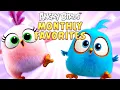 Download Lagu Angry Birds | Monthly Favorites 💖🌹
