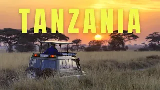 TANZANIA Travel Video Stock Footage 
