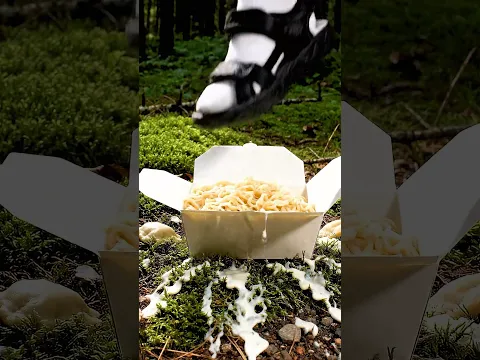 Oddly Satisfying Forest ASMR 🌲
