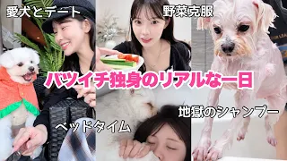 【Vlog】愛犬としか喋らない、31歳独身女の一日。男も友達もいなくても幸せに生きてる👍🏻