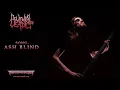Download Lagu DEVENIAL VERDICT (Finland) - Ash Blind OFFICIAL VIDEO (Dissonant Death Metal) Transcending Obscurity