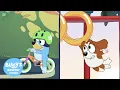 Download Lagu 100% Energy Adventures! ⚡️💙 | Playful Moments with Pals | Bluey's Bestest Friends - Official Channel