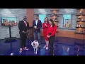 KARE 11 Sunrise says goodbye to Rena and good morning to new anchor Jason Hackett