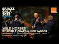Download Lagu Lisa Fischer sings The Rolling Stones’ classic “Wild Horses” w/ Terence Blanchard \u0026 Bill Frisell