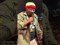 Lagu Brigadier Sabari - Alpha Blondy ❤️💛💚 #reggae #reggaemusic #brigadiersabari #alphablondy