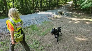 Multiple law enforcement agencies searching for Albemarle teen s remains