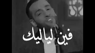 فين لياليك عمال بناديك 