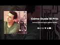 CÓMO DUELE EL FRIO - JOSE LUIS CARRASCAL, OMAR GELES (Audio Oficial)