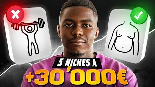 Top 5 niches Dropshipping à vendre en 2024 - Shopify [HAUT POTENTIEL]