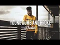 Download Lagu IPhone Ringtone X Young Dumb And Broke - \