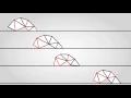 Learning to walk with a genetic algorithm