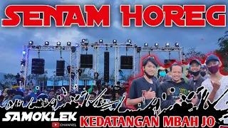 Download SENAM HOREG KEDATANGAN \ MP3