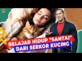 Download Lagu BERTEMAN DENGAN SEPI | BELAJAR DARI KUCING