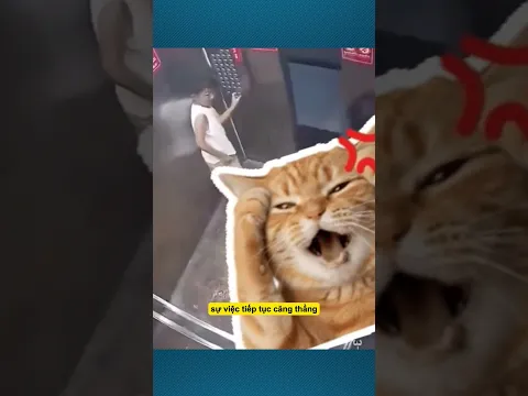Người mẹ nhất quyết bênh vực con trai và cái kết!!