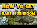 How to Get Rare Mushroom in ARK Ascended - Astraeos Map