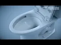 TOTO Drake toilet
