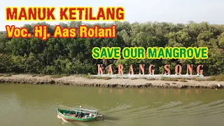 Download Lagu Tarling Lawas Manuk Ketilang Aas Rolani | Lokasi Video Save Our Mangrove Karangsong | MP3