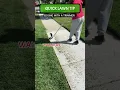 Download Lagu How To Edge With A String Trimmer | Lawn Care Tip