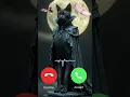 Download Lagu My Love Cat Calling - Meow Ring Tone #calling  #ringtone  #ring #meow  #catringtone