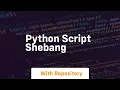 python script shebang