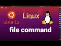 file command in linux usage of regular expressions Linux Command Line Tutorial