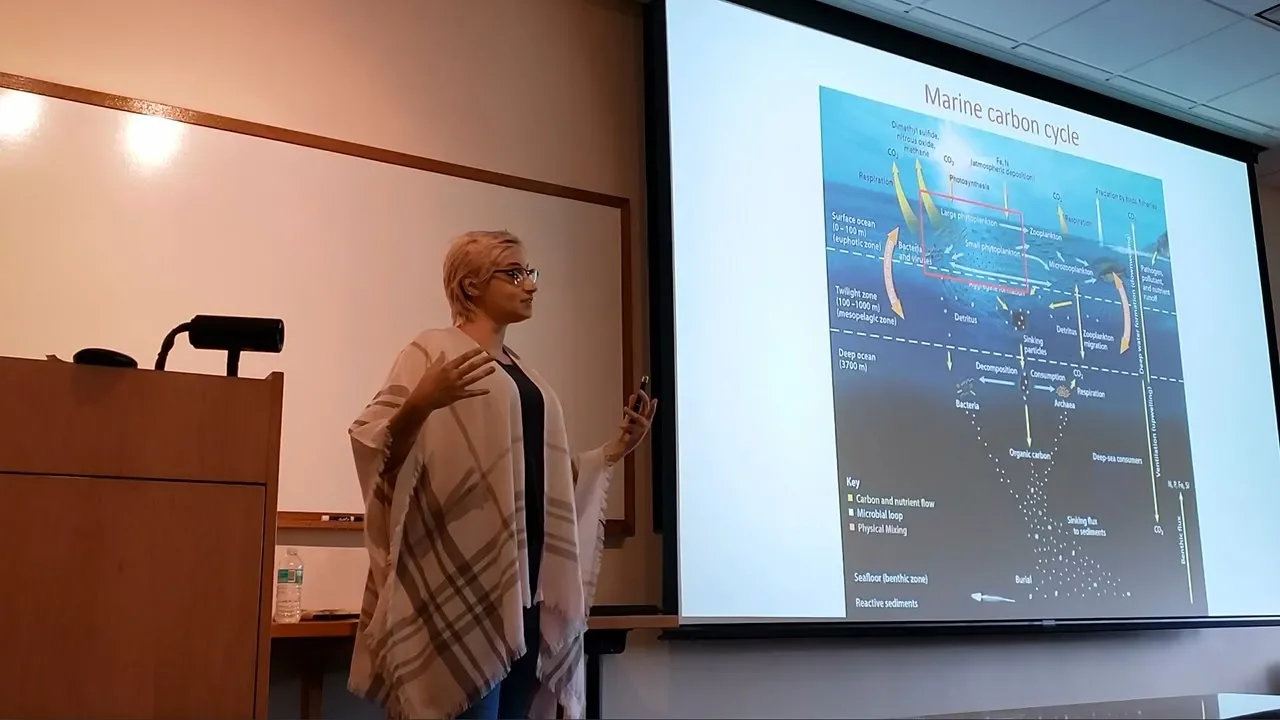 Mariana Bernardi Bif, RSMAS: Organic Carbon
