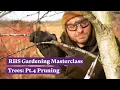 How why and when to prune trees RHS Gardening Masterclass Trees Pt 4 The RHS