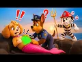 Oh NO! SKYE Mermaid is Sick... Police CHASE Please Help Her!!! - Paw Patrol 3D Animation | Rainbow 3