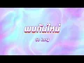 พบกันใหม่ - POLYCAT