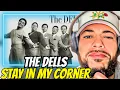 SMOOTH FIRST TIME HEARING The Dells - Stay In My Corner REACTION