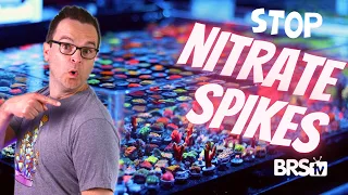 5 ways to lower reef tank nitrates safely and effectively 