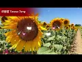鄧麗君 Teresa Teng - 永恒鄧麗君柔情經典 【月亮代表我的心/甜蜜蜜/小城故事/我只在乎你/你怎麽說/酒醉的探戈/償還/何日君再來/夜來香/難忘初戀的情人 】