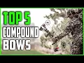 Best Compound Bows 2023 Top 5 Compound Bow for Hunting